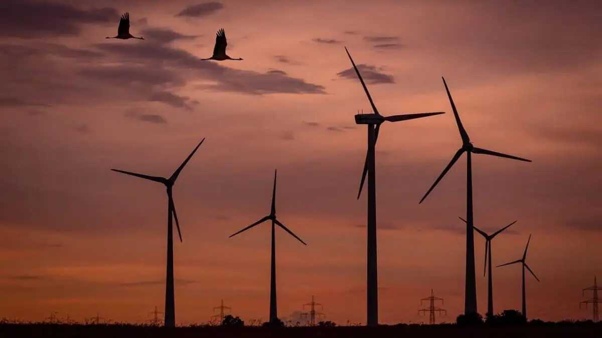wind farm, sunset, birds-1600377.jpg