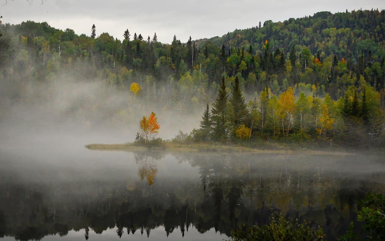 landscape, nature, fog-Environment