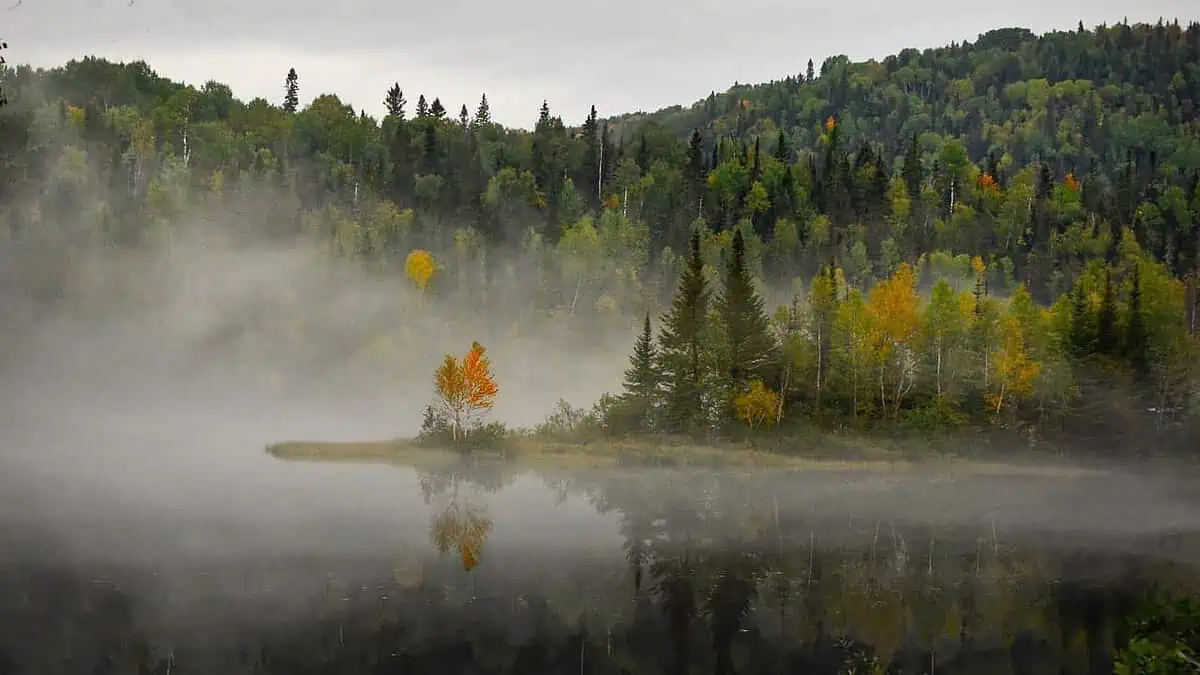 landscape, nature, fog-Environment