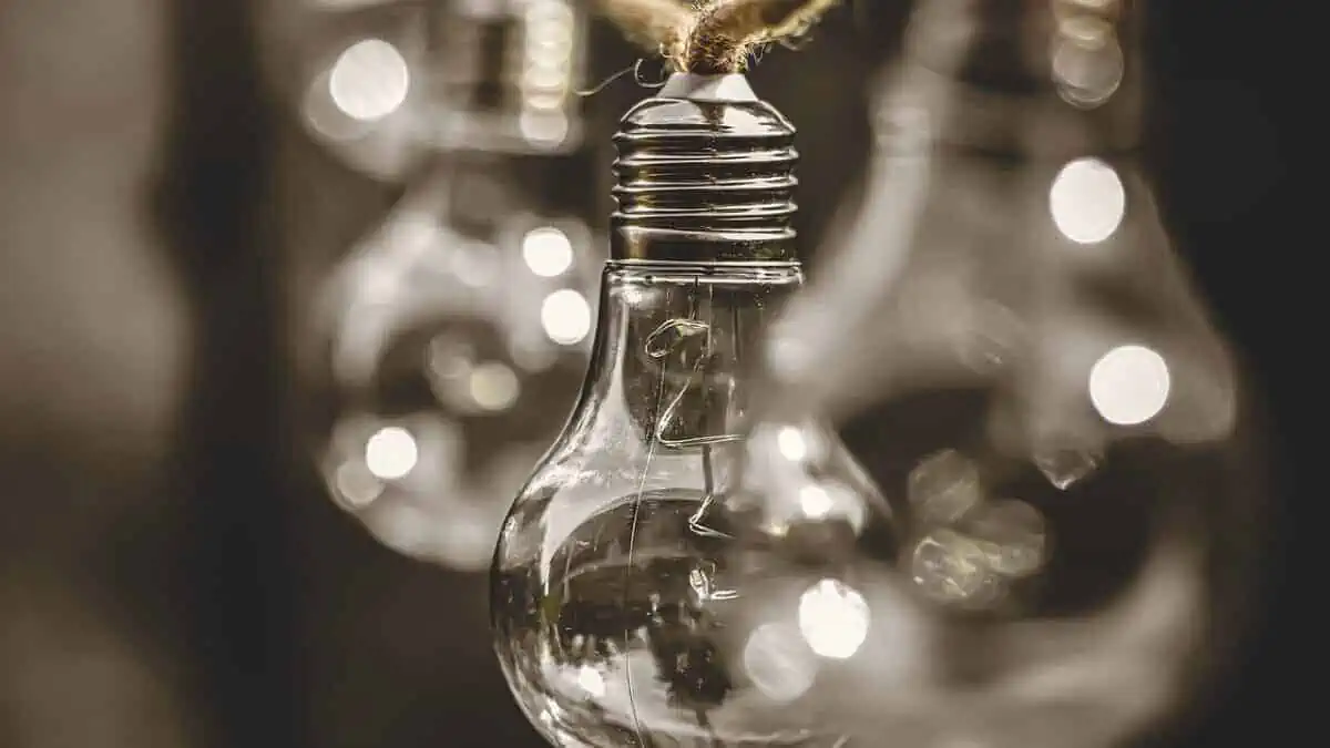 lightbulb, energy, nature, electricity